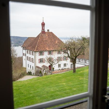Schloss Freudenfels Eschenz Exteriér fotografie
