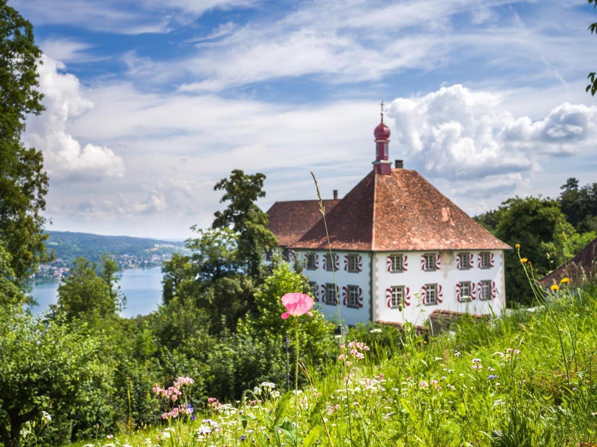 Schloss Freudenfels Eschenz Exteriér fotografie