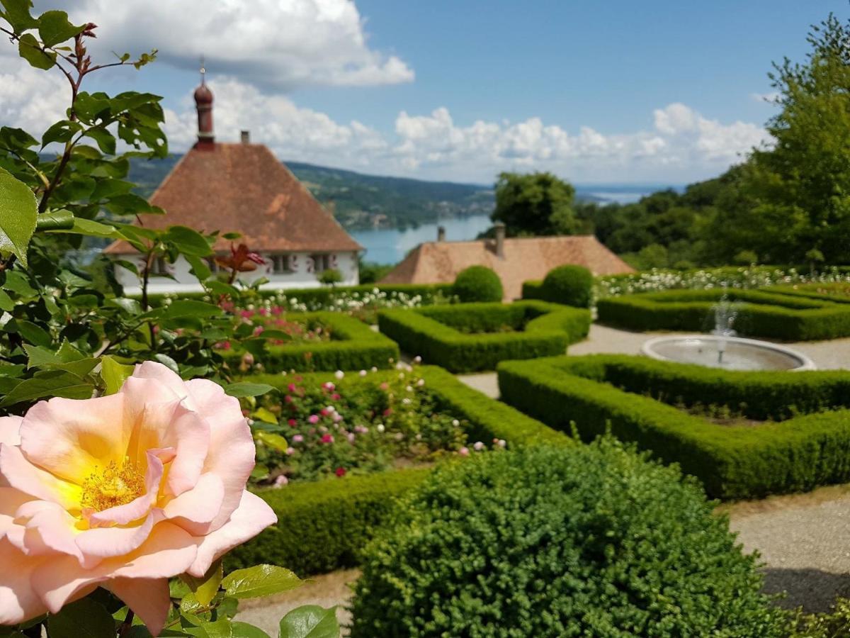 Schloss Freudenfels Eschenz Exteriér fotografie