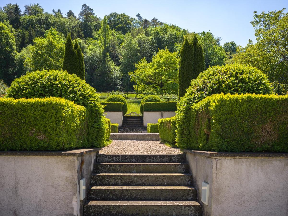 Schloss Freudenfels Eschenz Exteriér fotografie